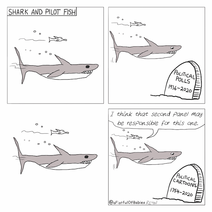 Shark and Pilot Fish: RIP - A Fistful of Babies